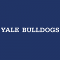 1998-Pres Yale Bulldogs Wordmark Logo Decals Stickers