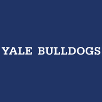 1998-Pres Yale Bulldogs Wordmark Logo Decals Stickers