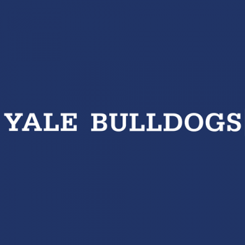 1998-Pres Yale Bulldogs Wordmark Logo Decals Stickers