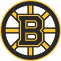 Boston Bruins Primary Logo Iron-on Stickers (Heat Transfers)