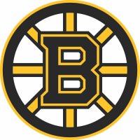 Boston Bruins Primary Logo Iron-on Stickers (Heat Transfers)