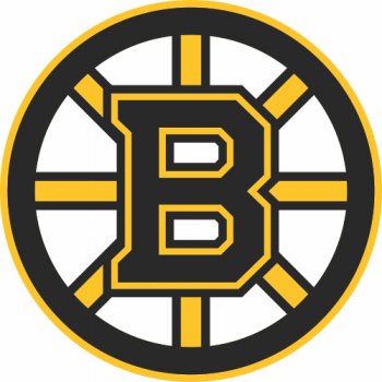 Boston Bruins Primary Logo Iron-on Stickers (Heat Transfers)