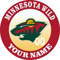 Minnesota Wild iron on transfer