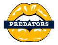 nashville predators script logo iron on transfers