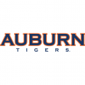 Auburn Tigers 2004-Pres Wordmark Logo Iron-on Stickers (Heat Transfers)