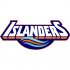 New York Islanders Script Logo  Iron-on Stickers (Heat Transfers)