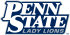 Penn State Nittany Lions 2001-2004 Wordmark Logo Iron-on Stickers (Heat Transfers)