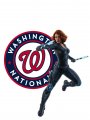 Washington Nationals Black Widow iron on transfers