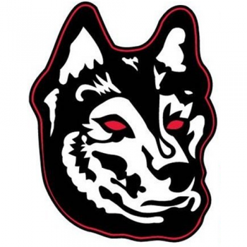 2007-Pres Northeastern Huskies Alternate Logo Decals Stickers