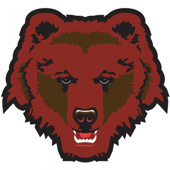 Brown Bears 1997-Pres Alternate Logo Iron-on Stickers (Heat Transfers)