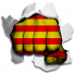 hulk CATALONIA Flag iron on transfer