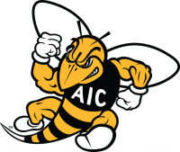 AIC Yellow Jackets 2009-Pres Secondary Logo Iron-on Stickers (Heat Transfers)