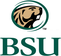 Bemidji State Beavers 2004-Pres Secondary Logo Iron-on Stickers (Heat Transfers)