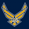 Airforce Nashville Predators Logo