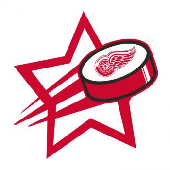 Detroit Red Wings Hockey Goal Star decal sticker