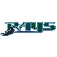 Tampa Bay Rays Script Logo  Iron-on Stickers (Heat Transfers)