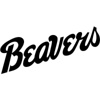 Bemidji State Beavers 2004-Pres Wordmark Logo Iron-on Stickers (Heat Transfers)