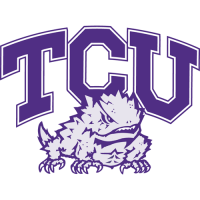 1995-Pres TCU Horned Frogs Alternate Logo Iron-on Stickers (Heat Transfers)