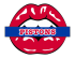 detroit pistons script logo iron on transfers