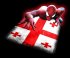 Spiderman GEORGIA Flag decal sticker