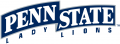 Penn State Nittany Lions 2001-2004 Wordmark Logo Decals Stickers 3