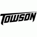 2004-Pres Towson Tigers Wordmark Logo Decals Stickers