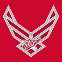 Airforce Detroit Red Wings logo