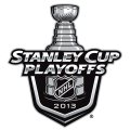 NHL Playoffs Primary logo 2013 Decals Stickers