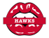 atlanta hawks script logo iron on transfers