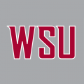 2011-Pres Washington State Cougars Wordmark Logo Iron-on Stickers (Heat Transfers)