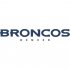 Denver Broncos Script Logo  Decals Stickers version 2