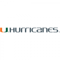 2000-Pres Miami Hurricanes Wordmark Logo Iron-on Stickers (Heat Transfers)