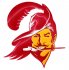 tampa bay buccaneers crystal logo decal sticker