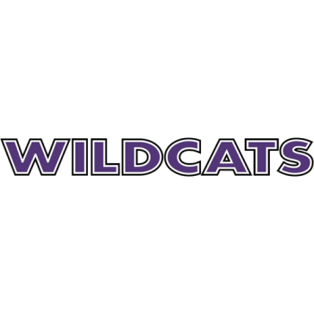 Abilene Christian Wildcats 1997-2012 Wordmark Logo Decals Stickers