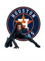 Houston Astros Black Widow iron on transfers