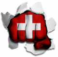 hulk switzerland flag iron on transfer