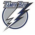 Tampa Bay Lightning Primary Logo  Iron-on Stickers (Heat Transfers)