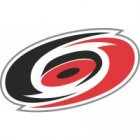 Carolina Hurricanes Iron Ons