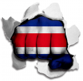 hulk COSTA RICA Flag iron on transfer