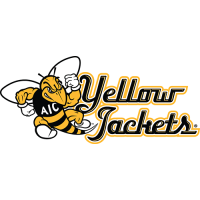 AIC Yellow Jackets 2009-Pres Alternate Logo Iron-on Stickers (Heat Transfers)