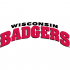 2002-Pres Wisconsin Badgers Wordmark Logo Iron-on Stickers (Heat Transfers)