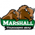 2001-Pres Marshall Thundering Herd Alternate Logo Iron-on Stickers (Heat Transfers)