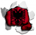 hulk ALBANIA Flag iron on transfer