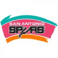 San Antonio Spurs Primary Logo  Iron-on Stickers (Heat Transfers)