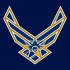 Airforce St. Louis Blues Logo