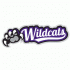 2012-Pres Weber State Wildcats Misc Logo Decals Stickers