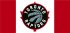 Toronto Raptors decal sticker