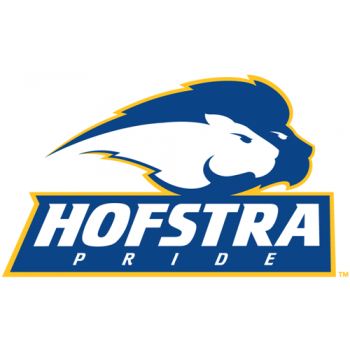 Hofstra Pride 2005-Pres Primary Logo Iron-on Stickers (Heat Transfers)