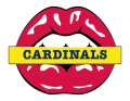 st. louis cardinals script logo iron on transfers