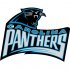 Carolina Panthers Alternate Logo  Iron-on Stickers (Heat Transfers) version 4